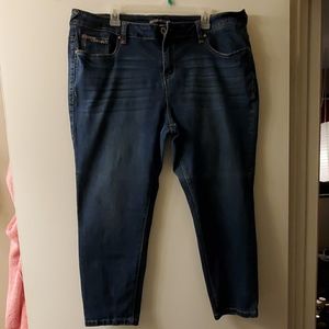 Amethyst Crop Skinny Jeans